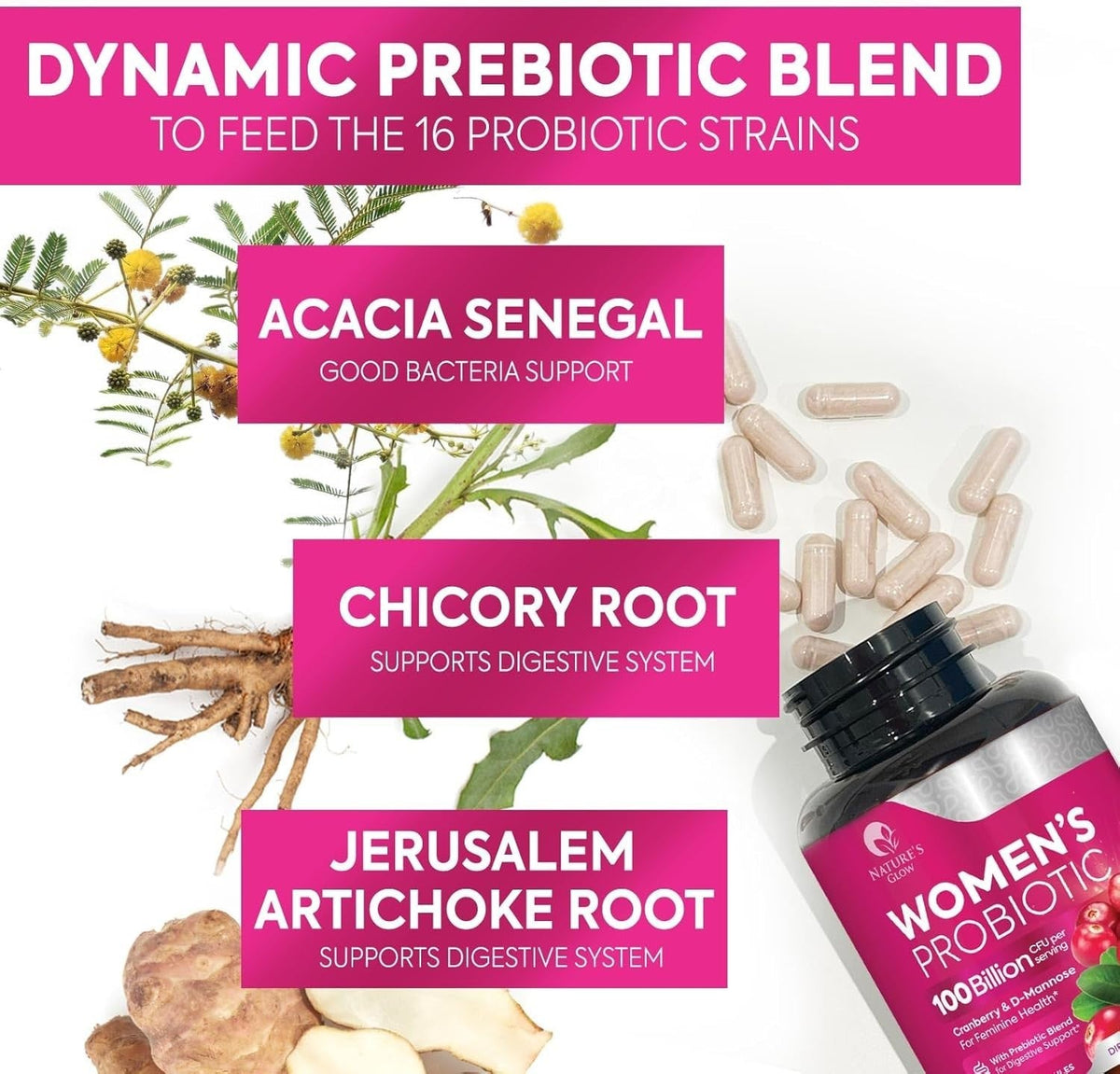 Probiotics for Women - for Digestive Health, Immune Support, & Vaginal Health