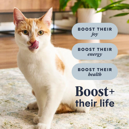 Rawboost, Dry Cat Food + Freeze Dried, Real Chicken, 10 Lb Bag | High-Protein Kibble with Freshdried Raw Bites, Grain-Free, Cage-Free Chicken Recipe, Minimally Processed, Complete Nutrition