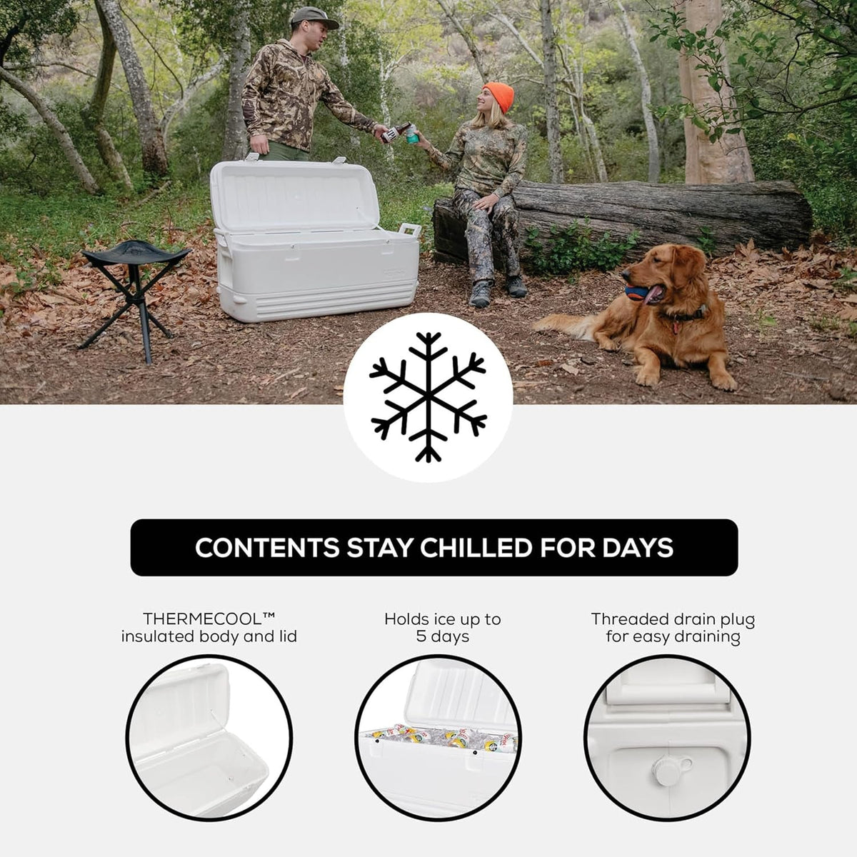 Hard Cooler | Polar & Party Bar Series | Insulated Ice Chests